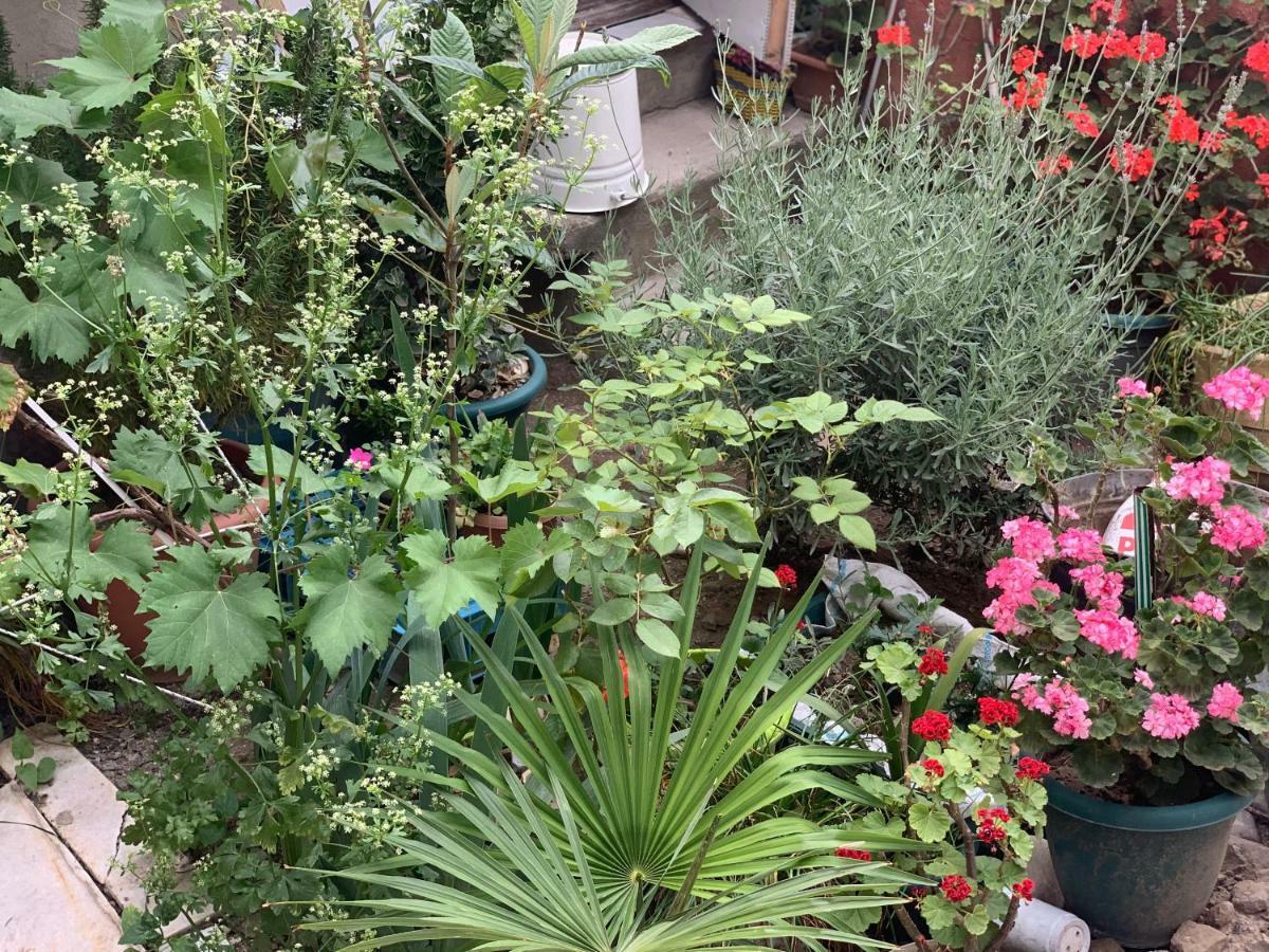 Your House In Tbilisi Exterior photo